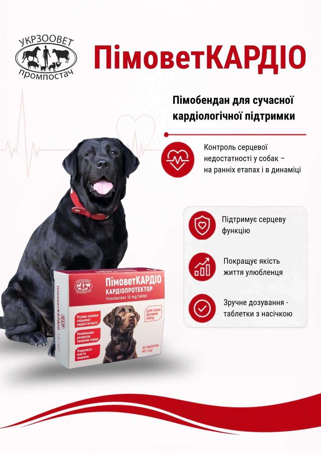 Презентація ПімоветКАРДІО