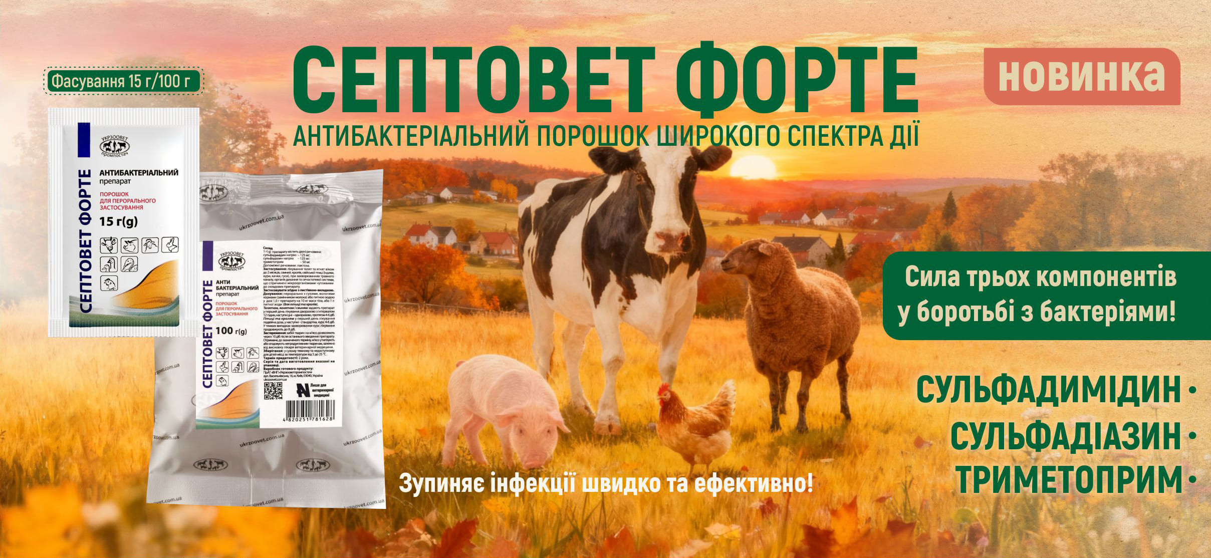 Some alt for this image