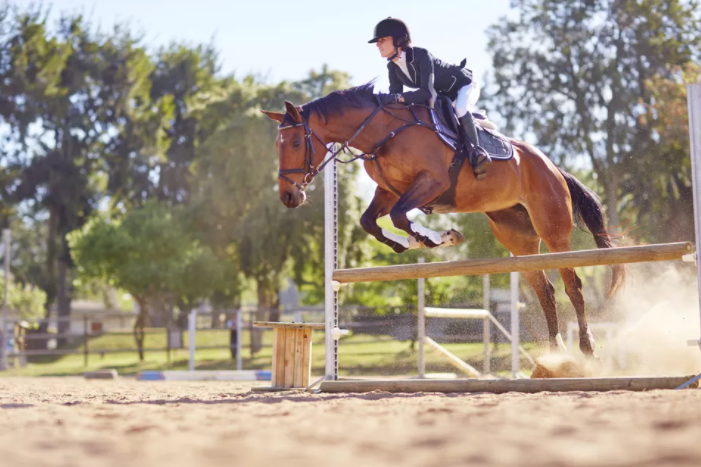 Some alt for this image