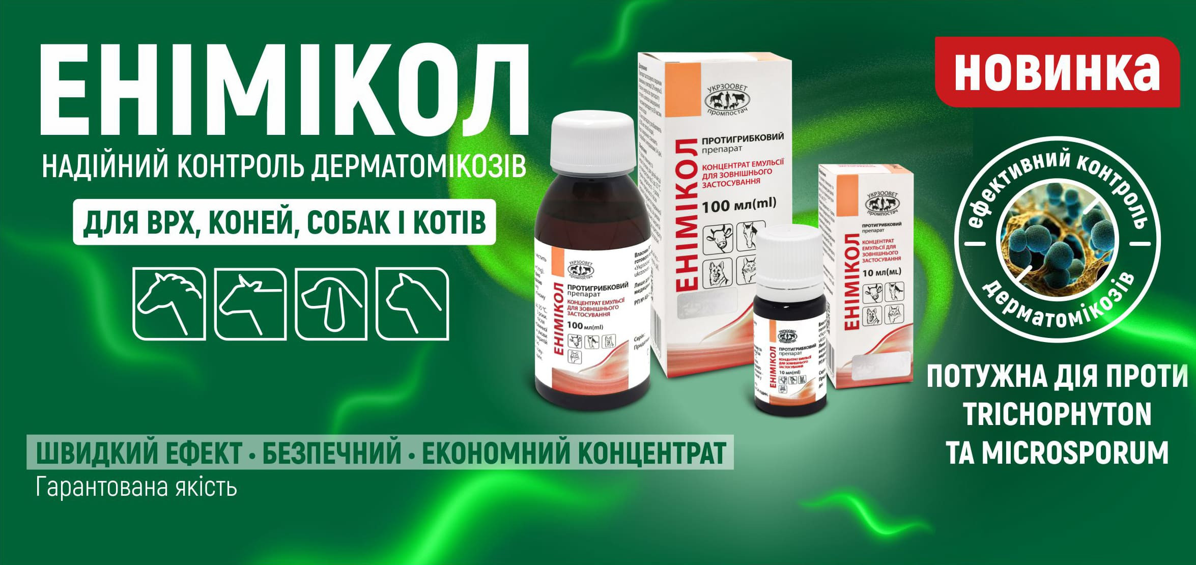 Some alt for this image