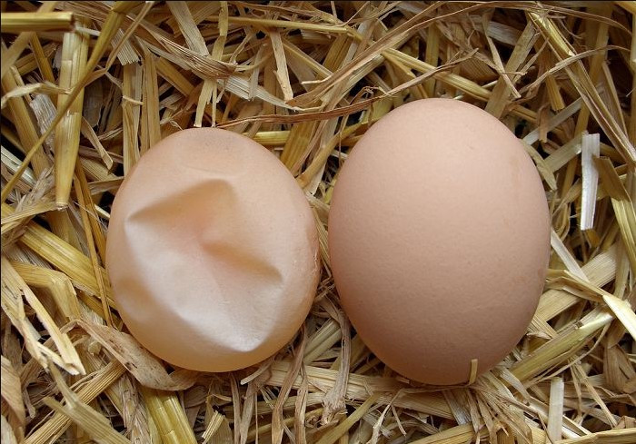 Some alt for this image