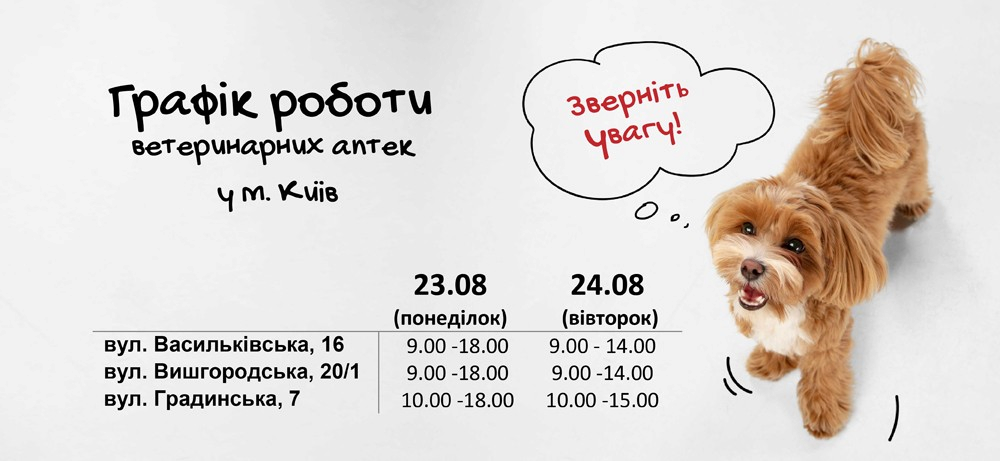 Some alt for this image