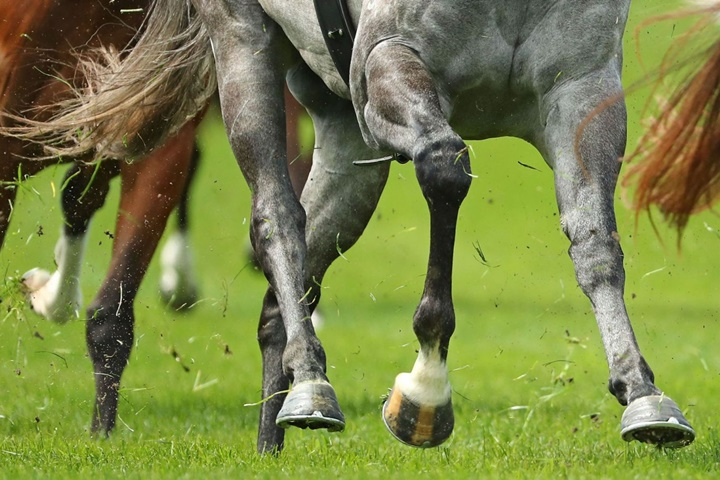 Some alt for this image