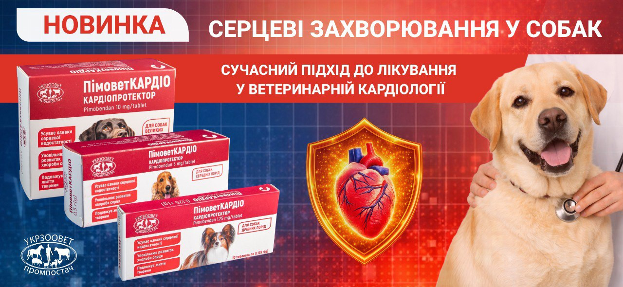 ПимоветКАРДИО для собак — лечение сердечной недостаточности (MMVD