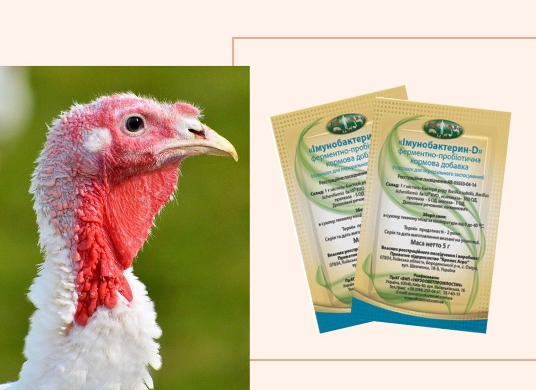 Some alt for this image