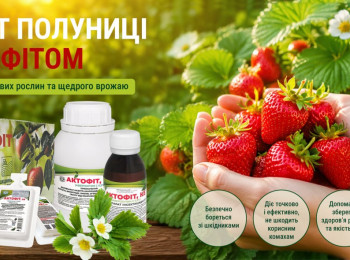 Защита клубники с Актофитом