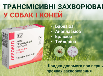 Сучасний підхід профілактики та лікування кліщових інфекцій у собак та коней.