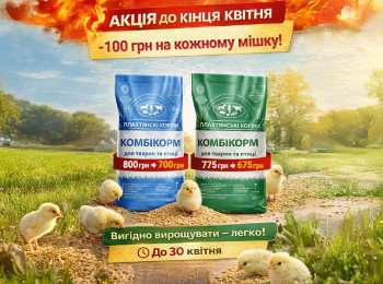 Акція на комбікорми для бройлерів — вигідні ціни до кінця квітня