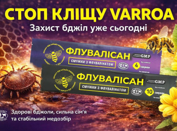 Контроль кліщів Varroa destructor у бджільництві