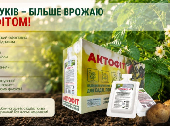 Колорадский жук не дремлет