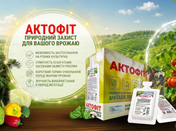 Биологическая защита растений — современный подход к безопасному урожаю