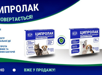 ЦИПРОЛАК знову в продажу