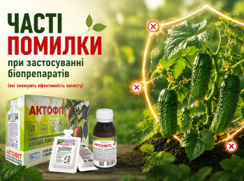 Частые ошибки при применении биопрепаратов, которые снижают эффективность защиты