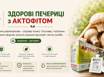Здорові печериці з Актофітом
