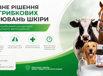 Дерматомикозы у животных: эффективное решение для уверенной терапии