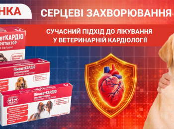 СЕРЦЕВІ ЗАХВОРЮВАННЯ У СОБАК: СУЧАСНИЙ ПІДХІД ДО ЛІКУВАННЯ У ВЕТЕРИНАРНІЙ КАРДІОЛОГІЇ