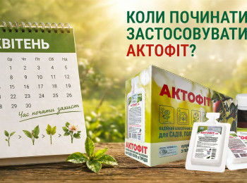 Коли починати застосовувати Актофіт